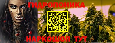гашик Заводоуковск