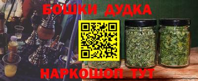 гашик Заводоуковск