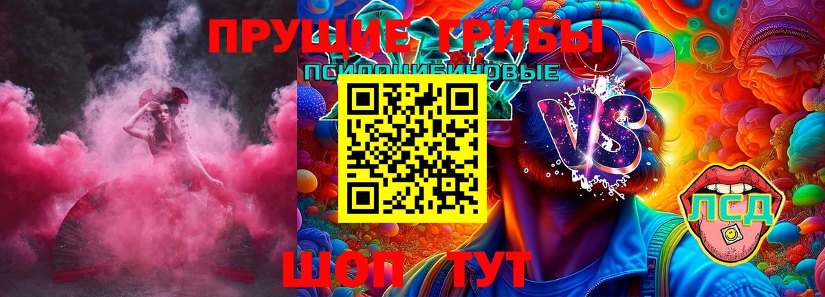 Псилоцибиновые грибы прущие грибы Буйнакск